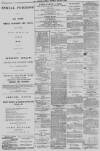 Aberdeen Press and Journal Thursday 06 January 1881 Page 8