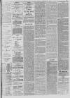 Bristol Mercury Tuesday 10 February 1880 Page 5