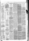 Bristol Mercury Thursday 06 June 1889 Page 5