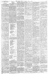 Bristol Mercury Tuesday 04 April 1893 Page 3