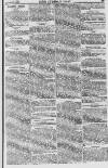 Baner ac Amserau Cymru Wednesday 31 October 1860 Page 11