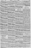 Baner ac Amserau Cymru Wednesday 24 July 1861 Page 5