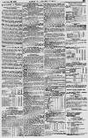 Baner ac Amserau Cymru Wednesday 27 November 1861 Page 13