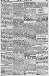 Baner ac Amserau Cymru Wednesday 11 December 1861 Page 5