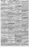 Baner ac Amserau Cymru Wednesday 16 June 1869 Page 11