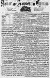 Baner ac Amserau Cymru Wednesday 30 June 1869 Page 3
