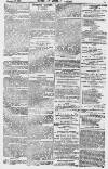 Baner ac Amserau Cymru Wednesday 30 June 1869 Page 15
