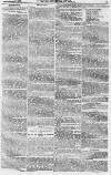 Baner ac Amserau Cymru Saturday 03 July 1869 Page 7