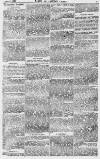 Baner ac Amserau Cymru Wednesday 18 August 1869 Page 7