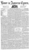 Baner ac Amserau Cymru Wednesday 17 February 1875 Page 3