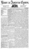 Baner ac Amserau Cymru Wednesday 04 December 1878 Page 3