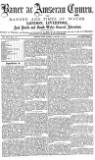 Baner ac Amserau Cymru Saturday 29 November 1879 Page 1