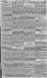 Baner ac Amserau Cymru Wednesday 12 May 1880 Page 13