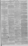 Baner ac Amserau Cymru Wednesday 18 August 1880 Page 15