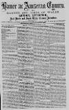 Baner ac Amserau Cymru Saturday 27 November 1880 Page 1