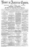 Baner ac Amserau Cymru Wednesday 13 December 1882 Page 1