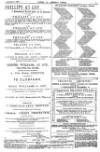 Baner ac Amserau Cymru Saturday 02 March 1889 Page 7