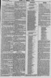 Baner ac Amserau Cymru Wednesday 15 January 1890 Page 5