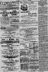 Baner ac Amserau Cymru Saturday 07 January 1893 Page 2
