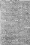 Baner ac Amserau Cymru Saturday 18 February 1893 Page 7