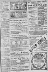 Baner ac Amserau Cymru Wednesday 30 August 1893 Page 15