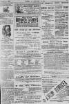 Baner ac Amserau Cymru Wednesday 04 October 1893 Page 15