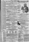 Baner ac Amserau Cymru Wednesday 05 September 1894 Page 15