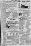 Baner ac Amserau Cymru Wednesday 03 October 1894 Page 15