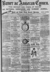 Baner ac Amserau Cymru Saturday 24 November 1894 Page 1