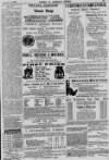 Baner ac Amserau Cymru Wednesday 05 December 1894 Page 15