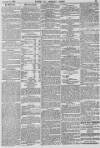Baner ac Amserau Cymru Wednesday 02 January 1895 Page 13
