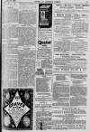 Baner ac Amserau Cymru Wednesday 18 January 1899 Page 15