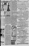 Baner ac Amserau Cymru Wednesday 15 February 1899 Page 15