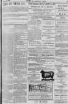 Baner ac Amserau Cymru Wednesday 20 September 1899 Page 15