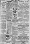 Baner ac Amserau Cymru Wednesday 10 January 1900 Page 15