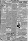 Baner ac Amserau Cymru Wednesday 14 February 1900 Page 15
