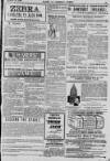 Baner ac Amserau Cymru Wednesday 21 March 1900 Page 15