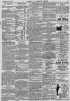 Baner ac Amserau Cymru Wednesday 31 October 1900 Page 13