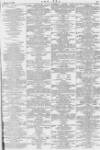 The Era Saturday 08 March 1884 Page 25