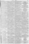 The Era Saturday 22 March 1884 Page 23