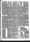 The Era Saturday 04 February 1905 Page 13