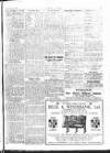 The Era Wednesday 03 November 1915 Page 25