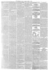 Freeman's Journal Tuesday 23 March 1875 Page 7