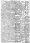 Freeman's Journal Thursday 03 June 1875 Page 3