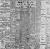 Freeman's Journal Friday 17 November 1899 Page 8