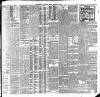 Freeman's Journal Friday 03 February 1905 Page 3