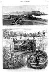 Graphic Saturday 26 September 1885 Page 13
