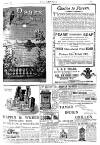 Graphic Saturday 29 October 1887 Page 17