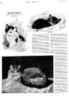 Graphic Saturday 12 December 1891 Page 10