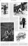 Graphic Saturday 29 September 1894 Page 21